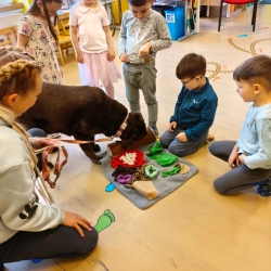 7cfc737e-d117-4550-8ac5-52f65f78dea6