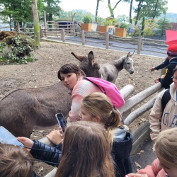 Obrázek WhatsApp, 2025-09-30 v 07.22.19_4032d700