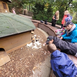 Obrázek WhatsApp, 2025-09-30 v 07.22.16_bef9915f