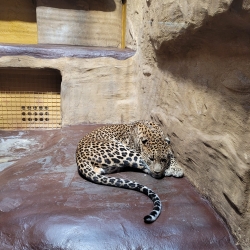 Obrázek WhatsApp, 2025-09-30 v 07.22.16_cc794845