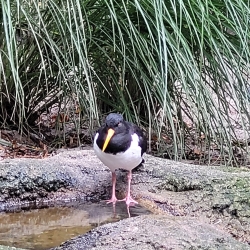 Obrázek WhatsApp, 2025-09-30 v 07.22.17_ba25ed7d