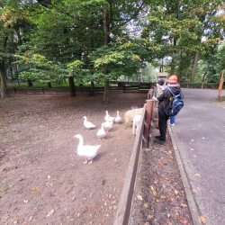 Obrázek WhatsApp, 2025-09-30 v 07.22.17_c8b26495