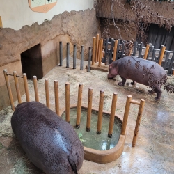 Obrázek WhatsApp, 2025-09-30 v 07.22.15_6f1d3f99