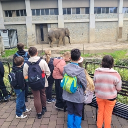 Obrázek WhatsApp, 2025-09-30 v 07.22.15_69051d01