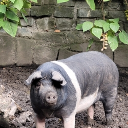 Obrázek WhatsApp, 2025-09-30 v 07.22.16_b854d086