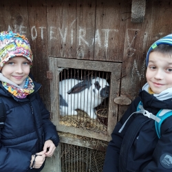 WhatsApp Image 2025-12-18 at 07.50.55 (1)