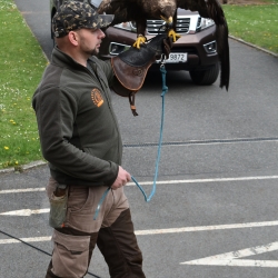 DSC_0788