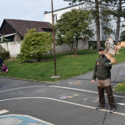 DSC_0741